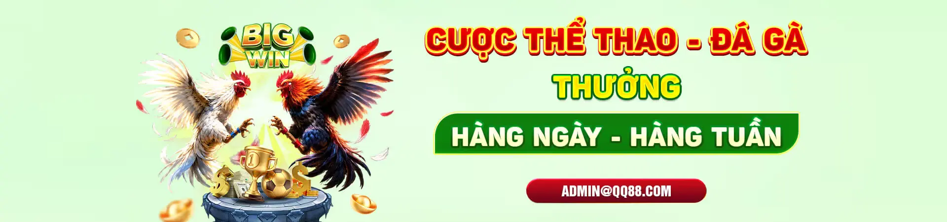 cược thể thao đá gà qq88